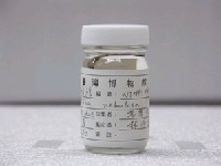 藏品(星帶蝮鯙)的圖片